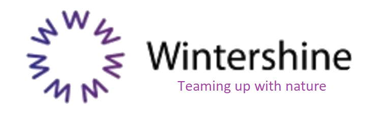 Wintershine logo